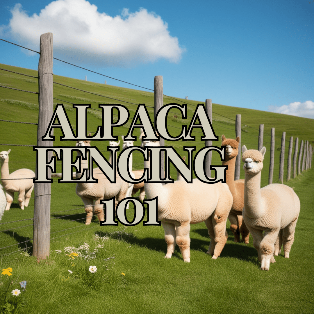 Alpaca Fencing 101